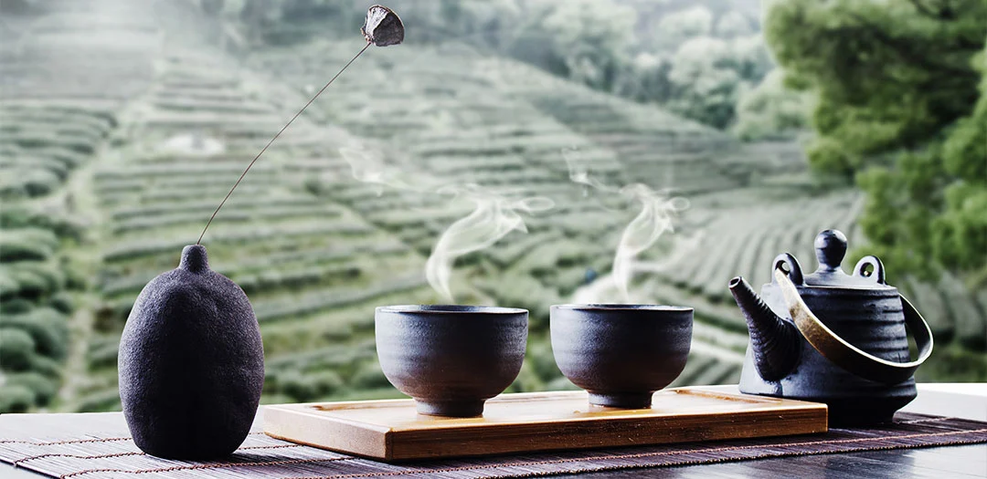 2.〖茶的起源〗茶的别称