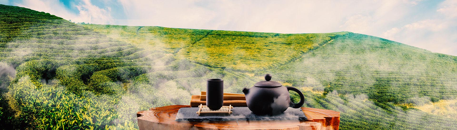 茶文化